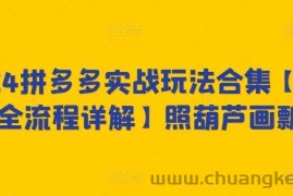 2024拼多多实战玩法合集【0-1全流程详解】照葫芦画瓢