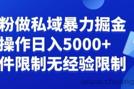 负债粉私域暴力掘金，小白操作入5000，无经验限制，无条件限制【揭秘】