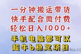 （16285期）快手黑科技一分钟搬运带货，一刀不剪过原创，微付费投流玩法，轻松日入…
