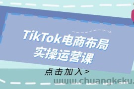 （12156期）TikTok电商布局实操运营课：从新手到精通，成为TikTok带货运营高手