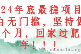 （12970期）2024年底最稳项目，小白无门槛，坚持做三个月，回家过肥年！！！