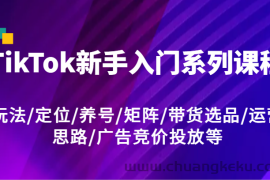 TikTok新手入门系列课程，玩法/定位/养号/矩阵/带货选品/运营思路/广告竞价投放等