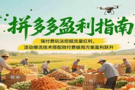 拼多多盈利指南：强付费玩法挖掘流量红利，活动爆流技术搭配微付费方案实现盈利跃升