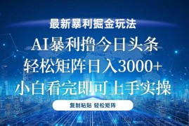 （13567期）今日头条最新暴利掘金玩法，轻松矩阵日入3000+