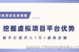 抓住虚拟项目各平台优势，新手轻松月入1W+(给出具体建议)