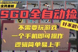 CSGO自动捡漏项目，最新独家玩法，一个手机即可操作。新手小白轻松月入1W+