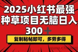 （14375期）2025小红书最强种草项目，无脑日入300+，复制粘帖即可，多劳多得