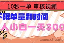 （14093期）10秒一单，审核视频 ，不限单量时间，新人小白一天300+