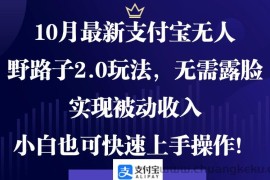 （12824期）10月最新支付宝无人野路子2.0玩法，无需露脸，实现被动收入，小白也可…