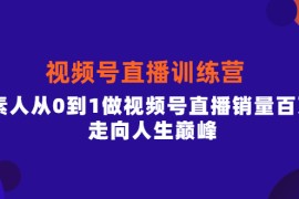 （3927期）行动派·视频号直播训练营，素人从0到1做视频号直播销量百万，走向人生巅峰