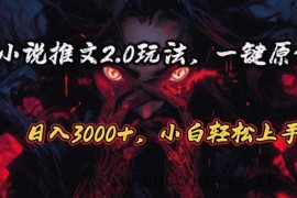 （10724期）原创漫画小说推文2.0玩法，单日最高3000+，ai全自动产出，可参加中视频…