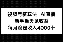 （16080期）视频号新玩法AI直播，新手小白当天见收益，月入4000+