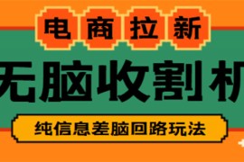 （4640期）【信息差项目】外面收费588的电商拉新收割机项目【全套教程】