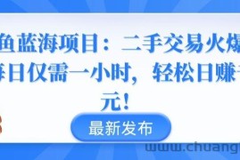 闲鱼蓝海项目：二手交易火爆，每日仅需一小时，轻松日赚千元【揭秘】