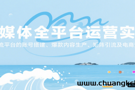 自媒体全平台运营实战，主流平台的账号搭建、爆款内容生产、矩阵引流及电商变现