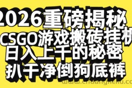 2026开年重磅解密，CSGO游戏搬砖挂G日入1k+的秘密，把倒狗的底裤扒干【揭秘】