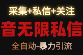 抖音无限私信机！采集+私信+关注，全自动暴力引流！