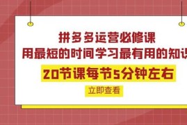 拼多多运营必修课：20节课每节5分钟左右，用最短的时间学习最有用的知识