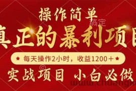 （14978期）真正的暴利项目，操作简单，每天收益1200＋，自己做老板
