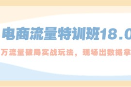 （5232期）电商流量特训班18.0，直引万流量破局实操玩法，现场出数据拿结果