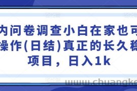 国内问卷调查小白在家也可批量操作(日结)真正的长久稳定项目，日入1k【揭秘】