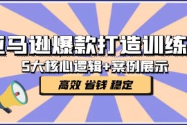 （5107期）亚马逊爆款打造训练营：5大核心逻辑+案例展示 打造爆款链接 高效 省钱 稳定