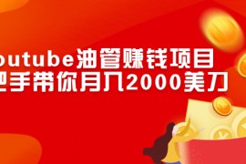 （2469期）Youtube油管赚钱项目：手把手带你月入2000美刀