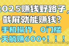 （14771期）2025赚钱野路子，截屏就能赚钱？手机操作0门槛，一天躺赚600+！！！