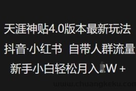 天涯神贴4.0版本最新玩法，抖音·小红书自带人群流量，新手小白轻松月入过W