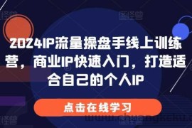 2024IP流量操盘手线上训练营，商业IP快速入门，打造适合自己的个人IP