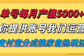 单月产值5000+，支付宝分成代运营，你提供账号坐等分钱，我们帮你运营