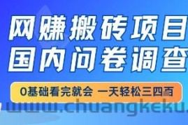 网创搬砖项目，国内问卷调查，小白轻松上手，一天三四张的也不难，干就完了【揭秘】