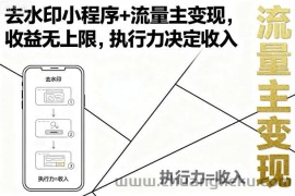 去水印小程序+流量主变现，收益无上限，执行力决定收入