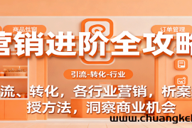营销进阶全攻略，引流、转化，各行业营销，析案例，授方法，洞察商业机会