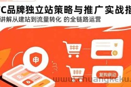 （15818期）DTC品牌独立站策略与推广实战指南，系统讲解从建站到流量转化的全链路运营