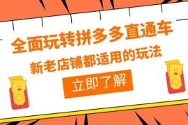 （6294期）全面玩转拼多多直通车，新老店铺都适用的玩法（12节精华课）