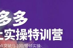 青云:拼多多运营实操特训营：从0到1/单点突破/1-100/带领实操价值2980元