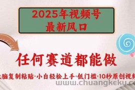 （14453期）2025年视频号新风口，低门槛只需要无脑执行