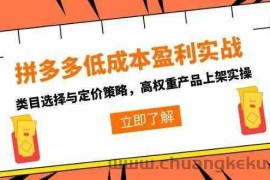 拼多多低成本盈利实战，类目选择与定价策略，高权重产品上架实操