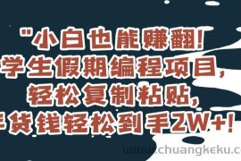 小白也能赚翻！学生假期编程项目，轻松复制粘贴，年货钱轻松到手2W+【揭秘】