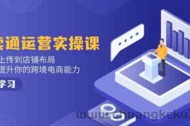 速卖通运营实操课，从产品上传到店铺布局，全方位提升你的跨境电商能力