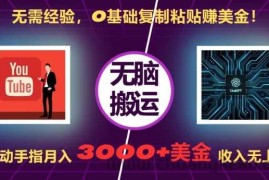 无需经验，0基础复制粘贴赚美刀，动动手指，月入3000+刀，无上限【揭秘】