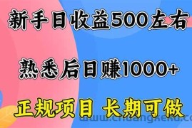 （16132期）新手日收益500+ 正规项目 长期可做