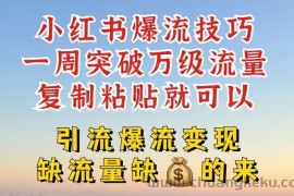 小红书爆流技巧，一周突破万级流量，复制粘贴就可以，引流爆流变现【揭秘】