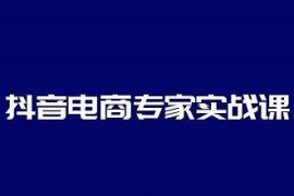 抖音电商专家实战课，你上你也行-人人能做的卖货达人