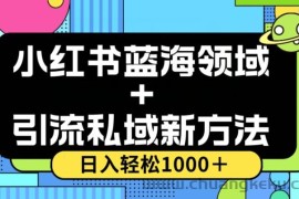 小红书蓝海虚拟＋引流私域新方法，100%不限流，日入轻松1000＋，小白无脑操作【揭秘】