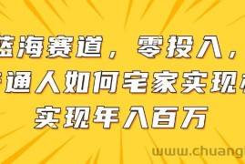 （14700期）新蓝海赛道，零投入，一个普通人如何宅家办公实现年入百万