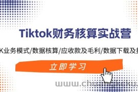 （11978期）Tiktok财务核算实战营：TK业务模式/数据核算/应收款及毛利/数据下载及报表