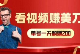 看视频赚美刀：每小时40+，多号矩阵可放大收益【揭秘】