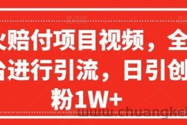 爆火赔付项目视频，全网平台进行引流，日引创业粉1W+【揭秘】